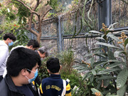 photo-iherbalgarden-3rd-020