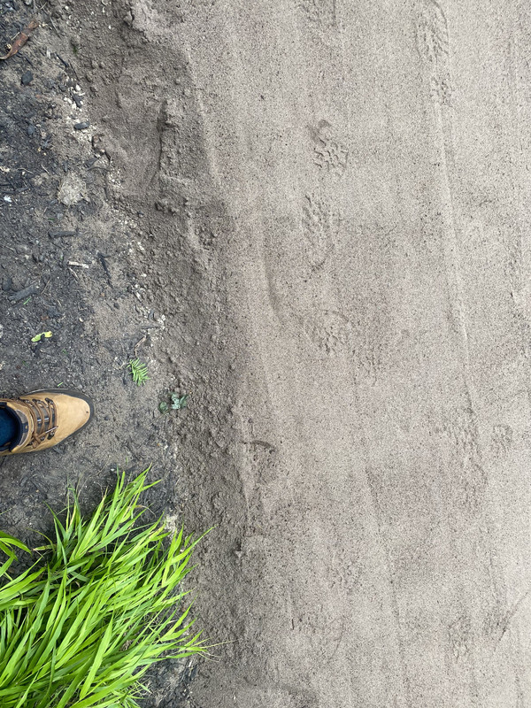 721D0B07-7963-49A3-8F25-C7834E657606