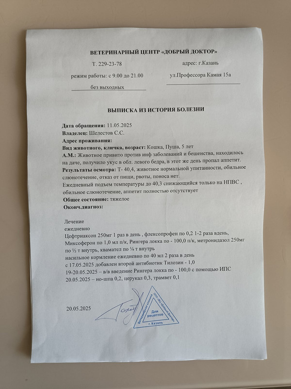 выписка из истории болезни 20-05-25