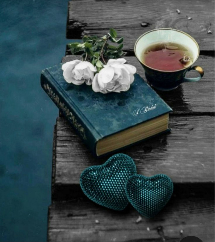 Screenshot_20240203_211633_Pinterest