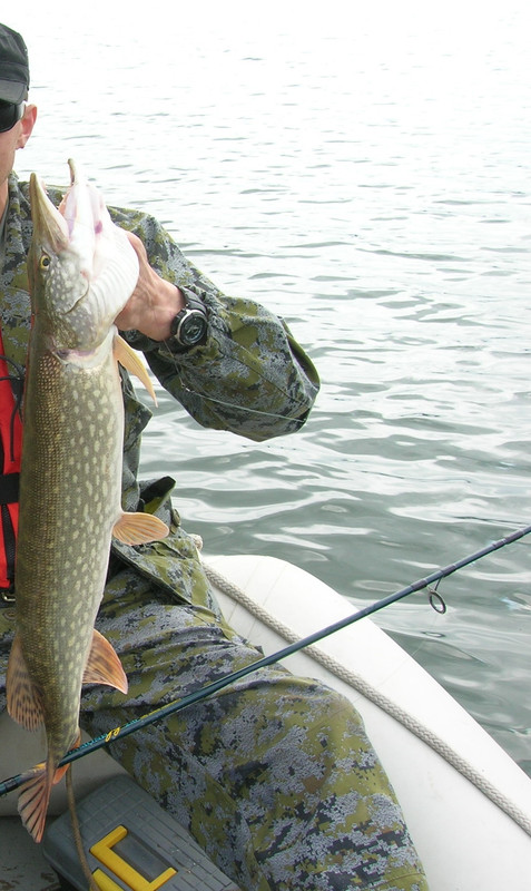 DSCN8149 - копия