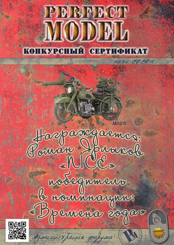 Летний диплом NICE