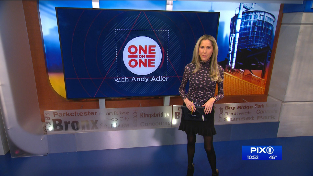 11.20 - 03.00.00 - PIX11 News at 10 with Tamsen Fadal and Kori Chambe....ts_snapshot_13.02.270