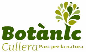 Botánico