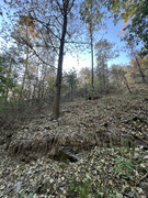 IMG-6322
