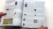 Odin-Dutch-rulebook-screenshot-(22)