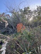 IMG-1766