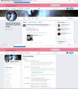 conf. twitter padrão oficial