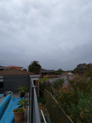 MVIMG_20200912_151423