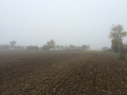 IMG-6217