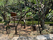 IMG-2241