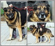 Be-Funky-collage-26.jpg&key=0f608c25292f