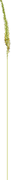 0-1c0e19-400dd5e8-orig