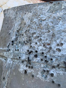 296002300_808237360530908_1411905420126474922_n