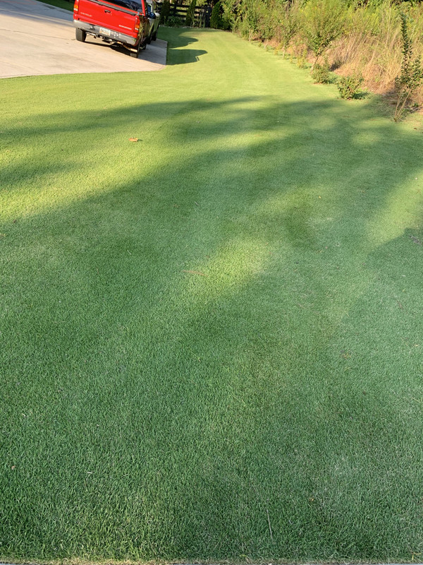 3BAE97E5-3187-416F-A7C6-87E1AD024EB9