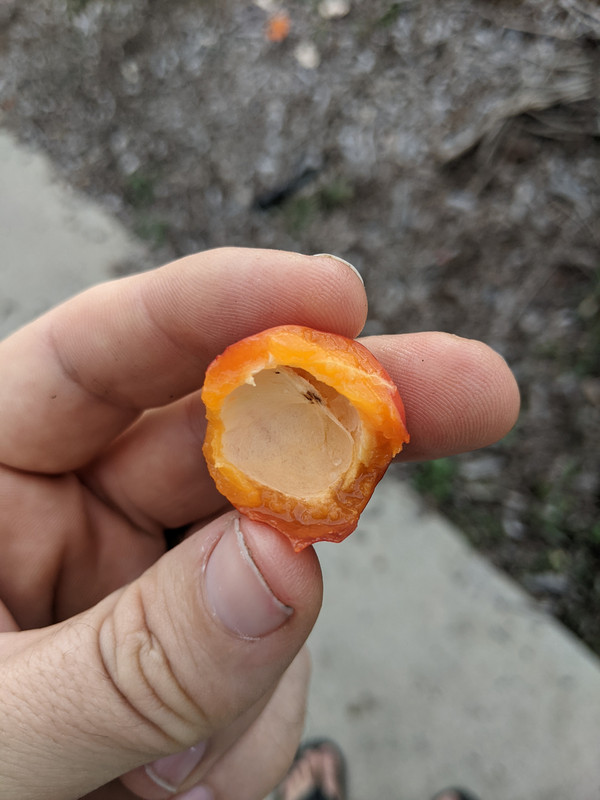 PXL 20251217 235230932