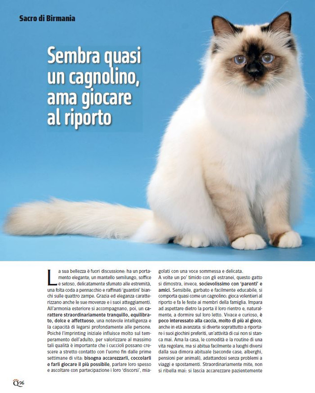 QuattroZampe Set 2024 (9)