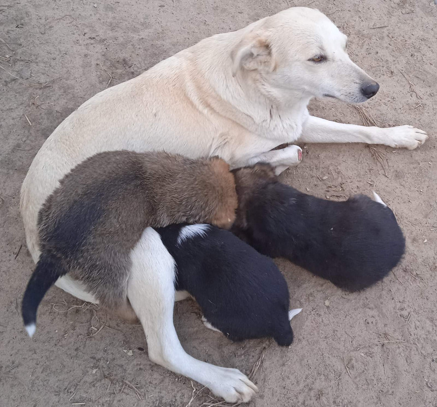 IMG-fa1370c440011fb2a10bac5c7cf4d45e-V