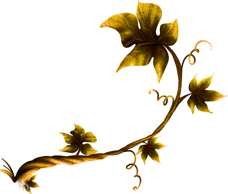 Halloweenpumpkitdnplants