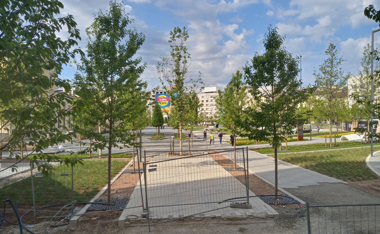 20210527_171550_HDR(1)