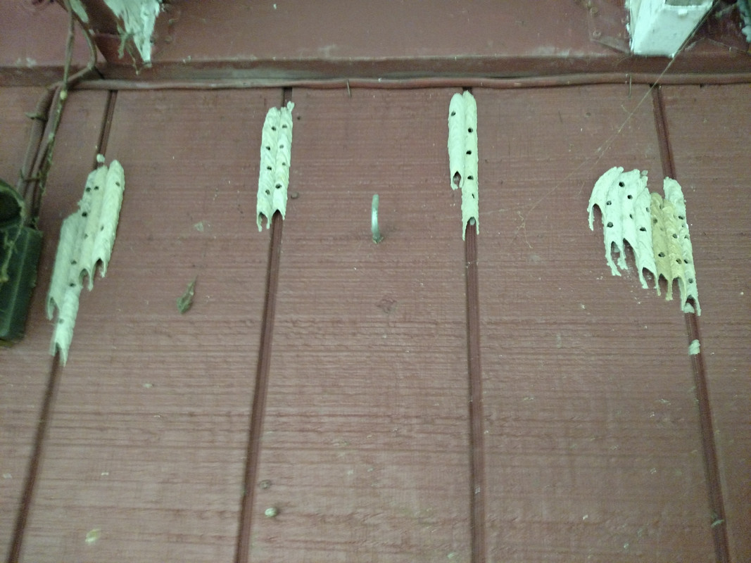 IMG_20180712_123637983