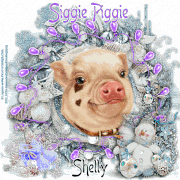 19-Laguna-Winter-Joys-Shelly