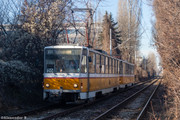 IMG-5251