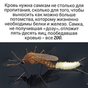 https://i.postimg.cc/fkt3C6ND/122.png