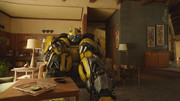 bumblebee-1