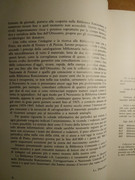 IMG-20181122-183531