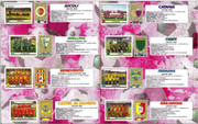 Album-Calciatori-2001-02-Panini-53
