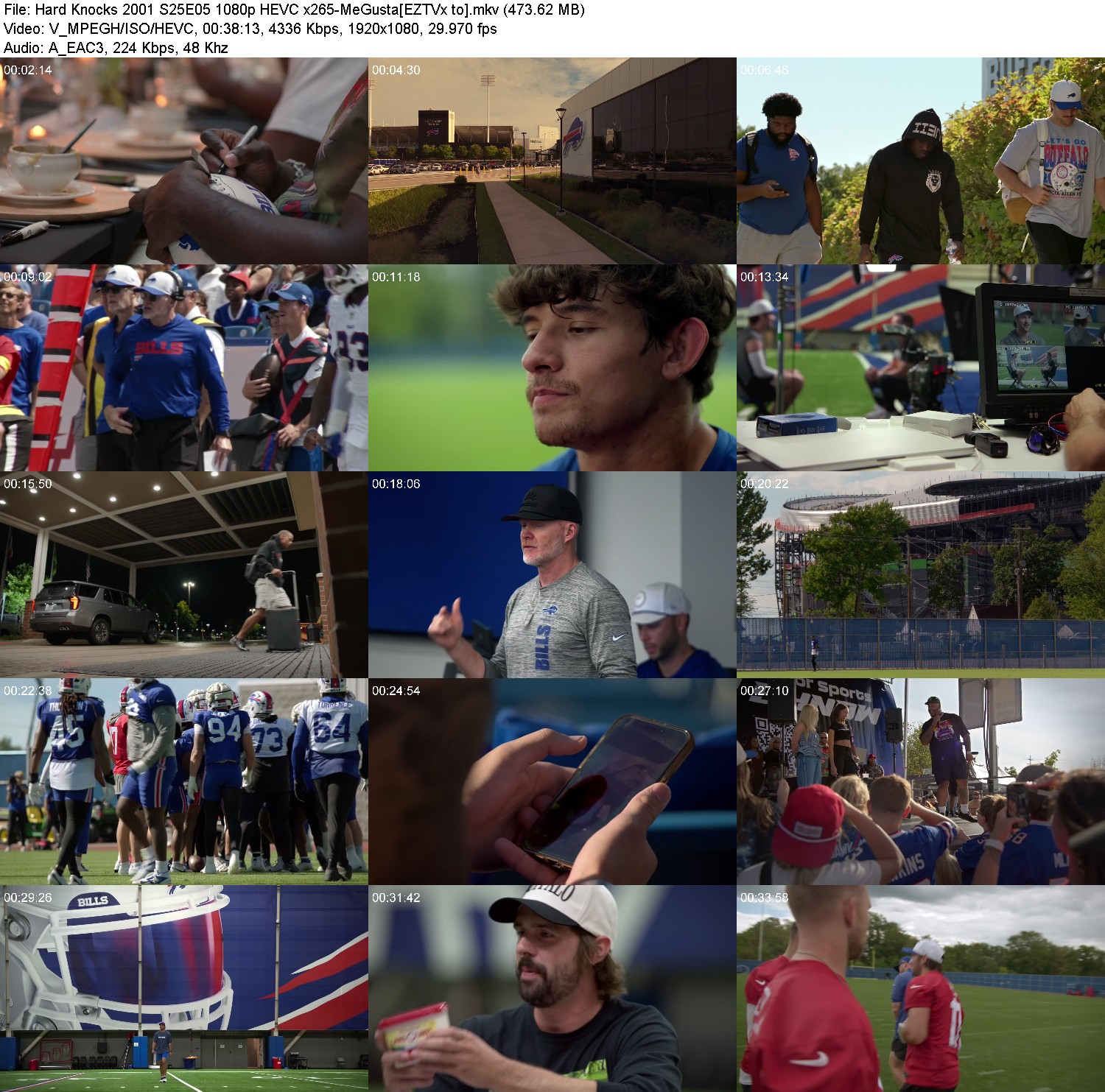 [Image: go04tqa7vr7z.jpg]