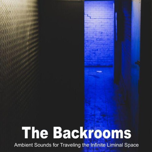 VA-The-Backrooms-Ambient-Sounds-For-Trav