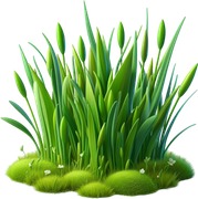 DWD-Alexia-Element-59