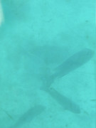 https://i.postimg.cc/ft3NF2vH/20260220-141058.jpg