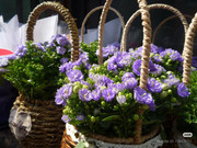 photo 5 2025 12 27 21 06 10