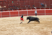 IMG-0168