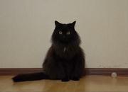 Безымянный2