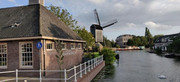 Road Trip Holanda con niños - Blogs de Holanda - Castillo de Haar y Leiden (14)