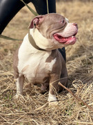 IMG_20230416_015650_108