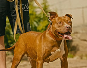 Screenshot_20230710_170137_Gallery