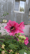 PXL-20250801-164400074.jpg