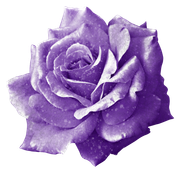 MVDLavender-Love-005