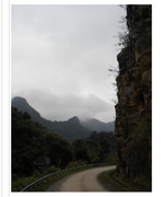 7AC03F2F-15D8-456B-BEBD-A2DB72FD6E7C