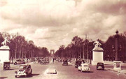 parista.jpg
