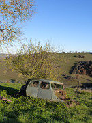 IMG-8542.jpg