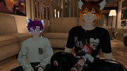 Imagen-02