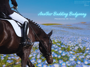 Naima-Budding-Budyonny