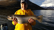 [Image: Deer-Creek27in-Trout.jpg]