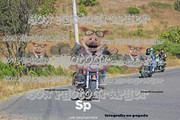 IMG-3035